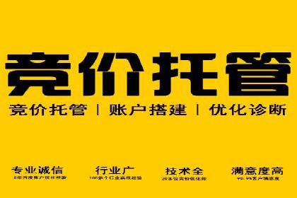 案例分析：百度竞价托管的成功因素有哪些？